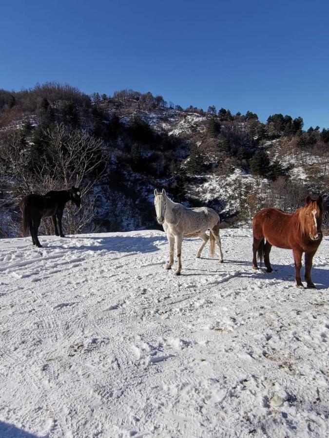 La Del Poeta Alojamento de Turismo Rural