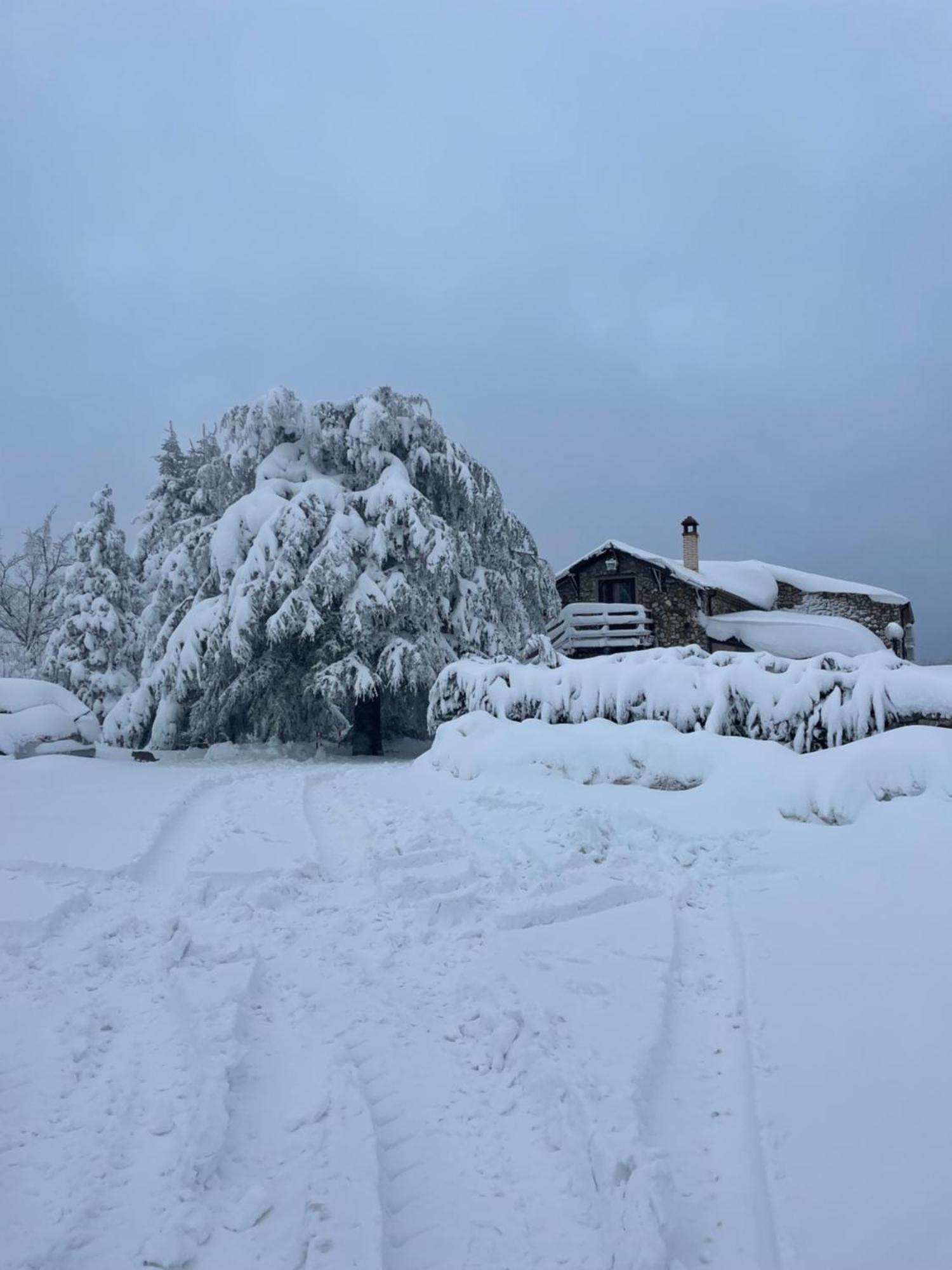 Farm stay La Locanda Del Poeta Acri