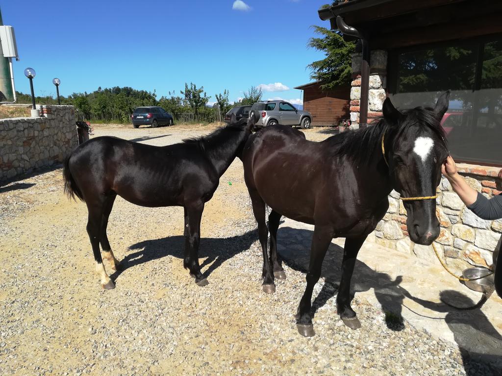 La Locanda Del Poeta Farm stay